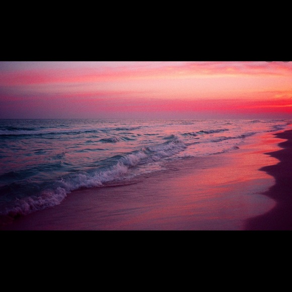 Meet your Posher, Haley - Picture 1 of 1